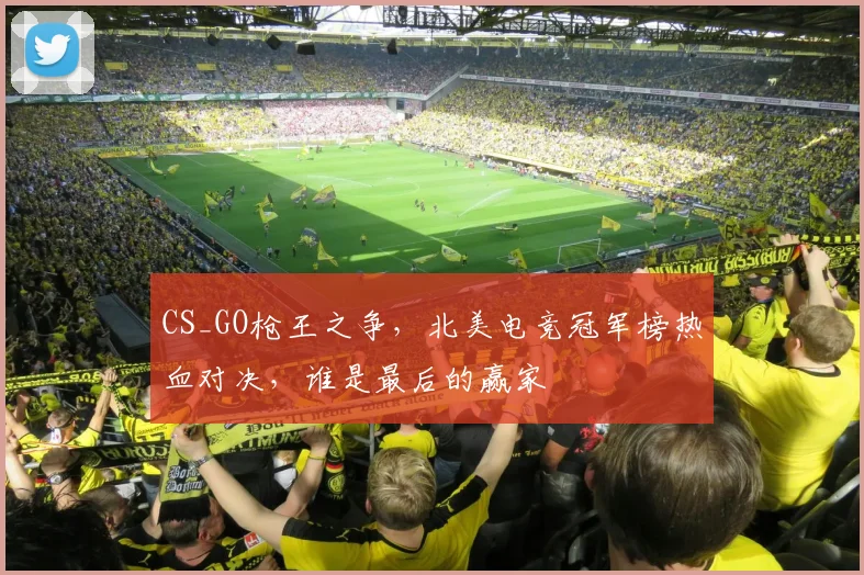 CS_GO枪王之争，北美电竞冠军榜热血对决，谁是最后的赢家