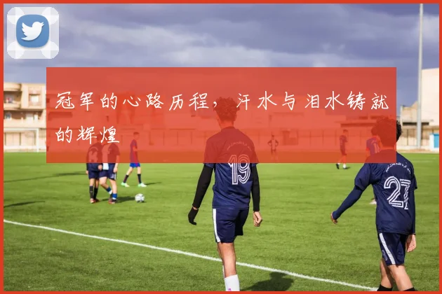 冠军的心路历程，汗水与泪水铸就的辉煌